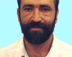 رامین احمدی