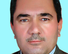 حمید محمدی