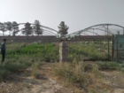 بررسی کارشناسی راه‌اندازی واحد تولید نهال و نشاء