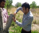 بخش تحقیقات زراعی باغی