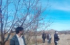 بخش تحقیقات گیاهپزشکی