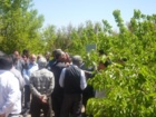 بخش تحقیقات گیاهپزشکی