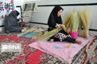 بخش تحقیقات اقتصادی اجتماعی