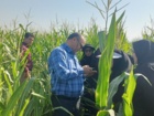 بازدید میدانی رئیس مرکز تحقیقات کشاورزی استان کرمان از مزارع ذرت شهرستان ارزوئیه