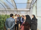 برگزاری کارگاه آموزشی مدیریت گلخانه‌های جالیزی درشهرستان سیرجان استان کرمان