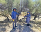 زنگ خطر برای جنگل‌های بادام وحشی دهسرد/مثلث تهدید در کمین ذخایر ژنتیکی شهرستان بافت استان کرمان
