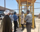 برگزاری کارگاه آموزشی و روز مزرعه تولید سیلاژ خوراک دام با استفاده از برگ خرما درشهرستان بم استان کرمان