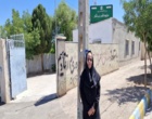 بررسی مشکلات کشاورزان بردسیر و ارائه راهکار؛ بازدید از مزارع گندم، ذرت و سیب‌زمینی