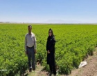 بررسی مشکلات کشاورزان بردسیر و ارائه راهکار؛ بازدید از مزارع گندم، ذرت و سیب‌زمینی