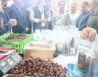 تأیید سطح بالای استانداردهای فرآوری خرما در بم توسط نماینده دفتر فائو در ایران