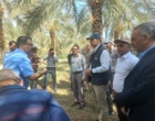 پایش سلامت باغات سنتی نرماشیر؛ تمرکز بر کنترل آفات و مدیریت تغذیه در رستم‌آباد