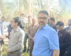 پایش سلامت باغات سنتی نرماشیر؛ تمرکز بر کنترل آفات و مدیریت تغذیه در رستم‌آباد