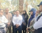 پایش سلامت باغات سنتی نرماشیر؛ تمرکز بر کنترل آفات و مدیریت تغذیه در رستم‌آباد