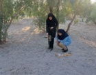 پایش میدانی رطوبت خاک در سامانه پخش سیلاب آب‌باریک بم استان کرمان