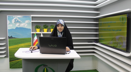 دوره آموزشی ضمن خدمت « آفات انباری و روش‌های کنترل آن»