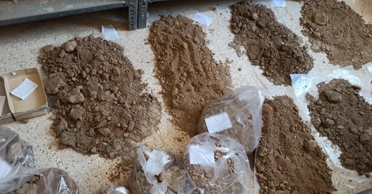 آغاز پایش مستمر خاک‌های کشاورزی بوشهر با اجرای فاز سوم طرح ملی از مهرماه ۱۴۰۴