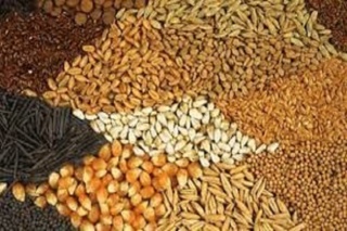 لزوم اصلاح سیاست‌های واردات نهاده‌ها