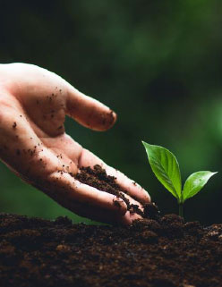 خاک و تغذیه