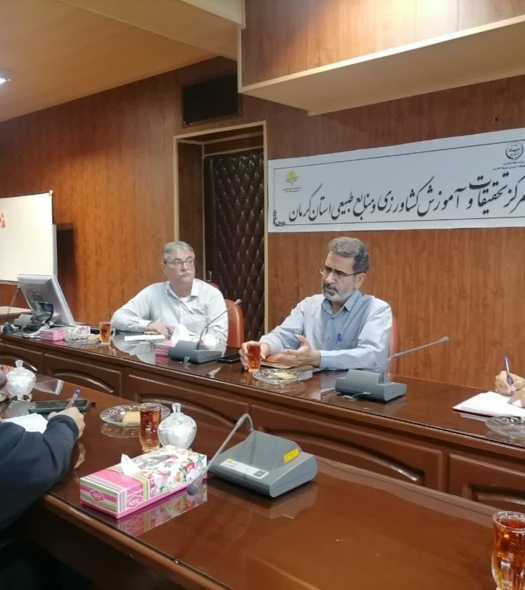 کشت زعفران، راه‌حل طلایی مقابله با خشکسالی