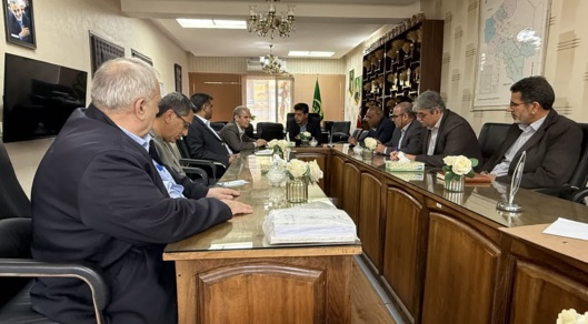 بررسی ظرفیت‌ها و فرصت‌های سرمایه‌گذاری در صنعت گیاهان دارویی