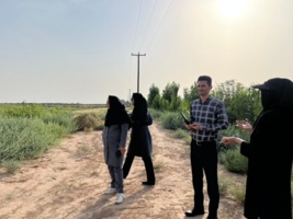 بررسی کارشناسی راه‌اندازی واحد تولید نهال و نشاء