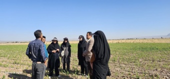 بازدید میدانی از مزارع ذرت شهرستان بردسیر جهت بررسی وضعیت آفت برگ‌خوار پاییزه