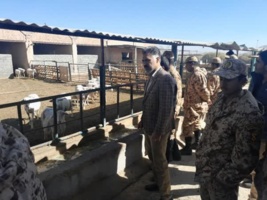 بازدید کارکنان وظیفه از واحد پرورش دام سبک گوسفند و بز