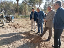 احداث باغ عناب در مرکز تحقیقات کشاورزی استان کرمان