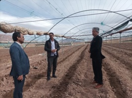 برگزاری کارگاه آموزشی ترویجی مدیریت گلخانههای جالیزی در بخش راین شهرستان کرمان