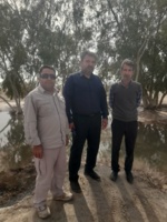 بازدید از جنگل دستکاشت اکالیپتوس بر آبخوان آب باریک شهرستان گنبکی