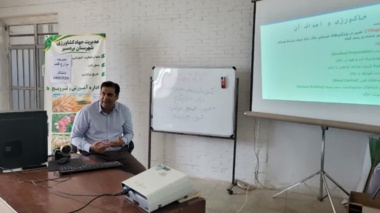 برگزاری کارگاه آموزشی آشنایی با روش‌های صحیح مدیریت زراعی مزارع گندم
