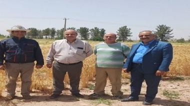 بازدید میدانی از ایستگاه تحقیقاتی شهید زنده‌روح و طرح‌های تکثیر بذور پرورشی گندم و جو
