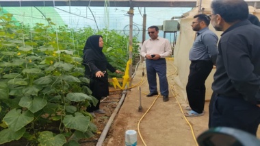 بازدید تخصصی رئیس بخش تحقیقات گیاه‌پزشکی مرکز تحقیقات کشاورزی استان کرمان از مجتمع گلخانه‌ای زرند