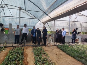 کارگاه آموزشی مدیریت پسماندهای کشاورزی در اراضی زراعی و باغی شهرستان سیرجان