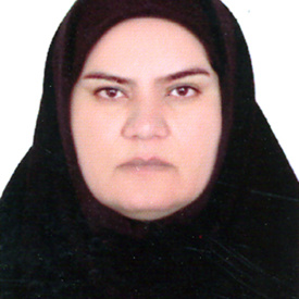 خانم مهندس مهدیه تقی زاده