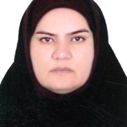 خانم مهندس مهدیه تقی زاده